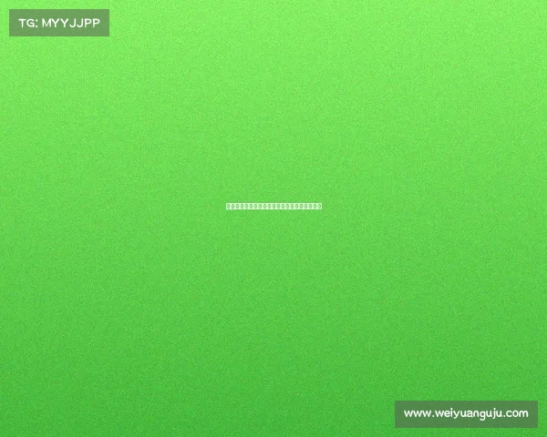 网球比赛现场秩序管理的重要性与实施策略分析